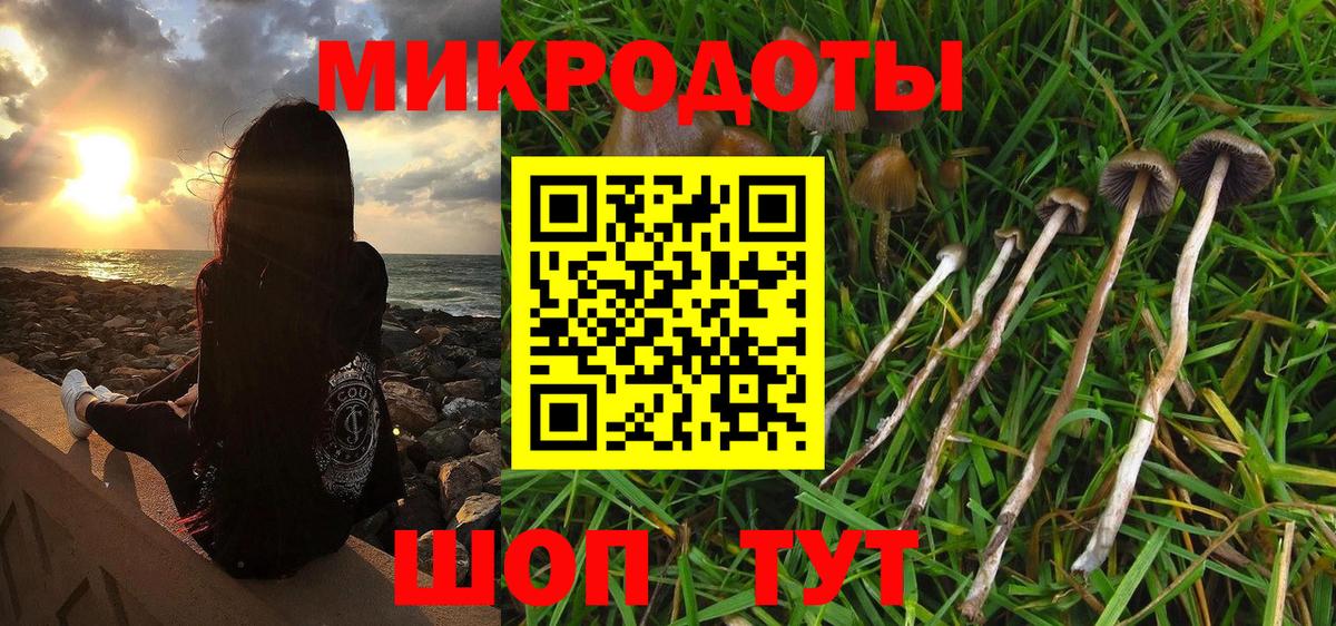 Псилоцибиновые грибы мицелий  Галлюциногенные грибы прущие грибы  Всеволожск  Вход с VPN 
