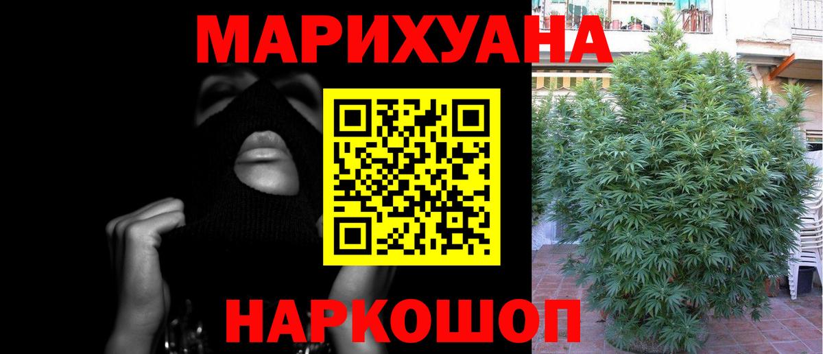Конопля планчик  Вход с VPN  Шишки марихуана VHQ  Всеволожск  МАРИХУАНА план 